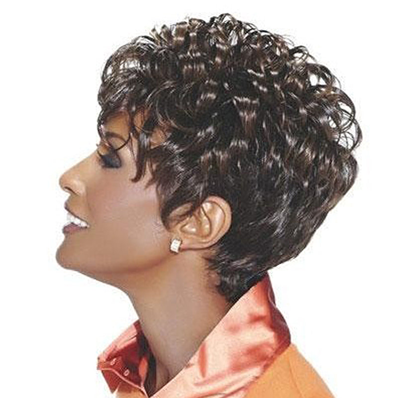 Natural African American Hairstyle Short Curly Wig